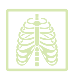 ícone de uma costela humana